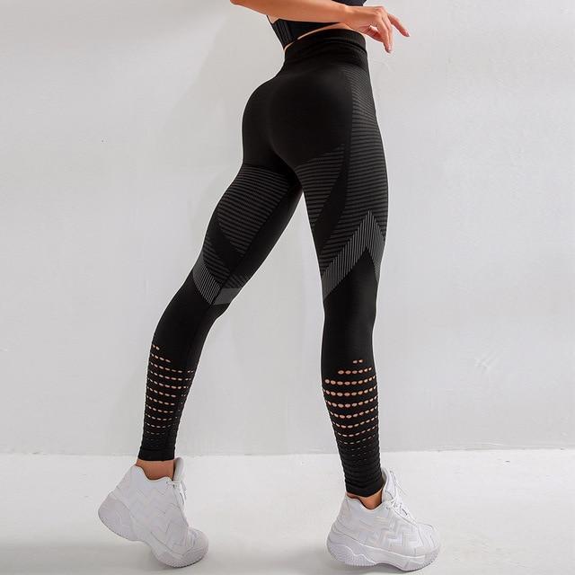 Ultimate Comfort Seamless Opus Leggings